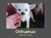 /album/galeria-de-fotos-pagina-inicial/minhafoto2-jpg1/