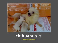 /album/galeria-de-fotos-pagina-inicial/foto1-jpg1/
